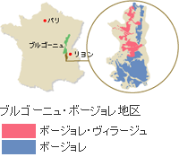 ブルゴーニュ・ボージョレ地区